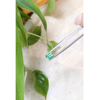 0.90 Ct. Emerald from Russia Life Style