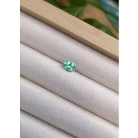 0.81 Ct. Emerald from Russia Life Style