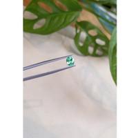 0.81 Ct. Emerald from Russia Life Style