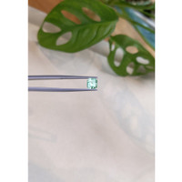 0.98 Ct. Emerald from Russia Life Style