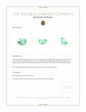 0.80 Ct. Emerald from Russia Appraisal