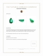 0.60 Ct. Emerald from Zambia Appraisal
