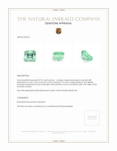 0.92 Ct. Emerald from Russia Appraisal