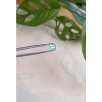 0.92 Ct. Emerald from Russia Life Style