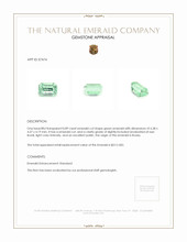 0.89 Ct. Emerald from Russia Appraisal