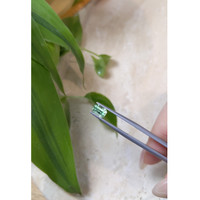 0.89 Ct. Emerald from Russia Life Style