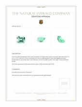 0.83 Ct. Emerald from Russia Appraisal