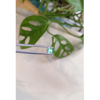 0.83 Ct. Emerald from Russia Life Style