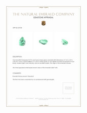 0.95 Ct. Emerald from Russia Appraisal