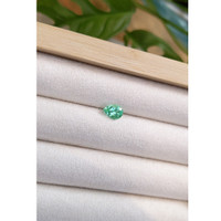 0.95 Ct. Emerald from Russia Life Style