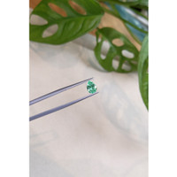 0.95 Ct. Emerald from Russia Life Style