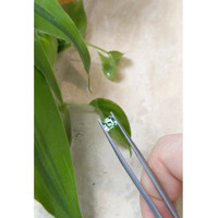 0.81 Ct. Emerald from Russia Life Style