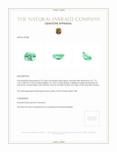 0.79 Ct. Emerald from Russia Appraisal