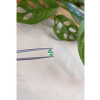 0.79 Ct. Emerald from Russia Life Style
