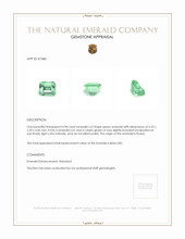 0.98 Ct. Emerald from Russia Appraisal