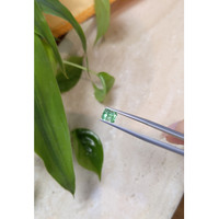 0.98 Ct. Emerald from Russia Life Style