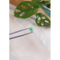 0.89 Ct. Emerald from Russia Life Style