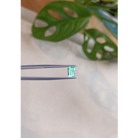 0.76 Ct. Emerald from Russia Life Style