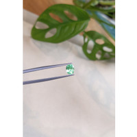 0.80 Ct. Emerald from Russia Life Style