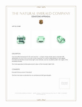 0.78 Ct. Emerald from Russia Appraisal