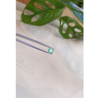 0.78 Ct. Emerald from Russia Life Style