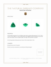 0.53 Ct. Emerald from Colombia Appraisal