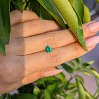 0.53 Ct. Emerald from Colombia Life Style