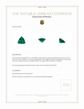 0.72 Ct. Emerald from Colombia Appraisal