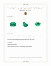 1.19 Ct. Emerald from Zambia Appraisal