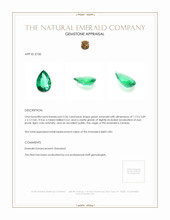 0.54 Ct. Emerald from Zambia Appraisal