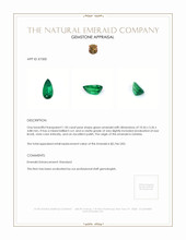 1.50 Ct. Emerald from Zambia Appraisal