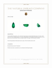 1.50 Ct. Emerald from Zambia Appraisal
