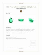 0.62 Ct. Emerald from Zambia Appraisal