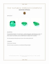 1.23 Ct. Emerald from Colombia Appraisal