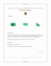 0.95 Ct. Emerald from Russia Appraisal