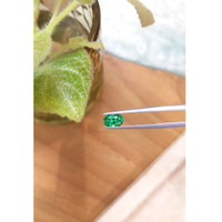 0.81 Ct. Emerald from Russia Life Style