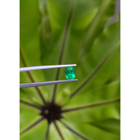 0.73 Ct. Emerald from Russia Life Style