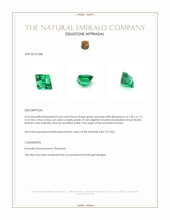 0.66 Ct. Emerald from Russia Appraisal
