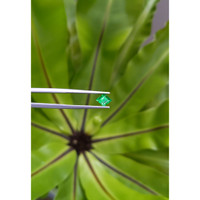 0.66 Ct. Emerald from Russia Life Style