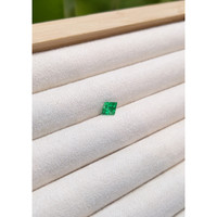 0.66 Ct. Emerald from Russia Life Style