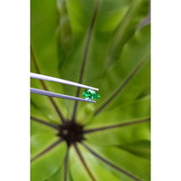 0.74 Ct. Emerald from Russia Life Style