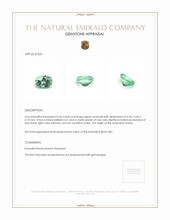 0.66 Ct. Emerald from Russia Appraisal