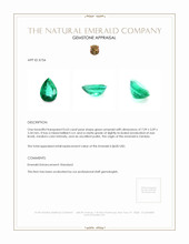 0.63 Ct. Emerald from Zambia Appraisal