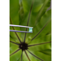 0.67 Ct. Emerald from Russia Life Style