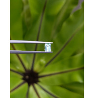 0.61 Ct. Emerald from Russia Life Style