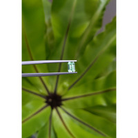 0.69 Ct. Emerald from Russia Life Style