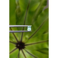 0.61 Ct. Emerald from Russia Life Style