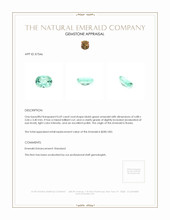 0.69 Ct. Emerald from Russia Appraisal