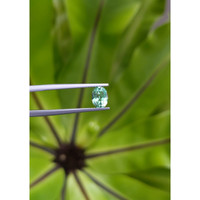 0.69 Ct. Emerald from Russia Life Style