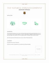 0.66 Ct. Emerald from Russia Appraisal